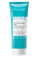 Acnederm Acne Salicylic Acid Zinc Acne Clearing Low pH Foaming Cleanser